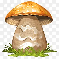 硕大蘑菇