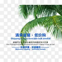 清爽盛夏