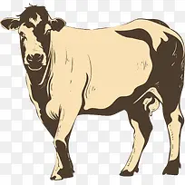 矢量图水彩棕色牛