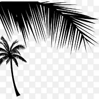 手绘黑色夏日风景椰子树