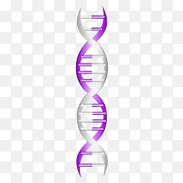 基因检测DNA