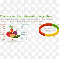 蔬菜维生素和微量元素矢量分析