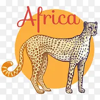 手绘非洲豹陆上动物