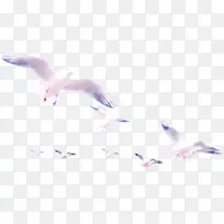 展翅飞翔的一群海鸥
