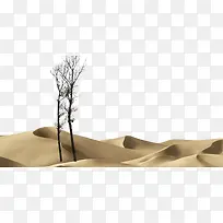 沙漠孤单枯树