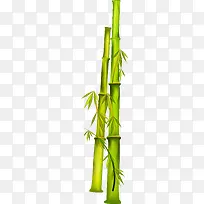 大自然绿色竹子竹叶