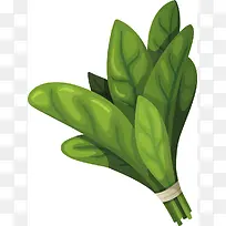 矢量蔬菜