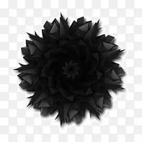 黑色的花