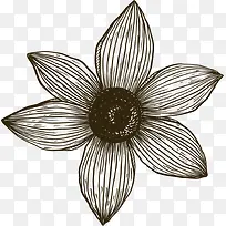 素描黑色花朵