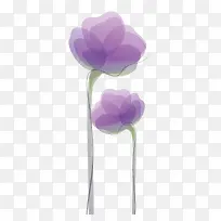 矢量彩绘紫草紫色花朵