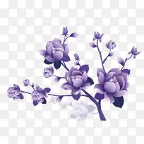 矢量紫色枝叶鲜花紫草