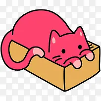 盒子里的猫咪