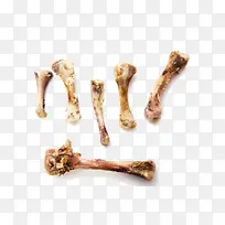 实物不同形状的大骨骨髓