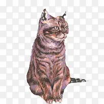 灰猫手绘素材图片