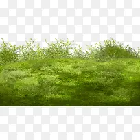 绿色草地草甸