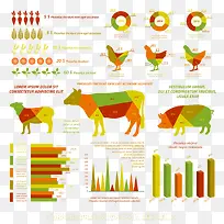 彩色表柱动物营养信息图表图片