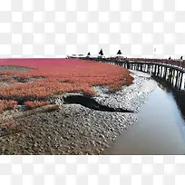红海滩美景图片