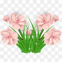 春天粉色花朵装饰