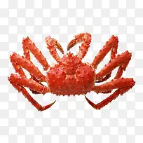 食物螃蟹png图片