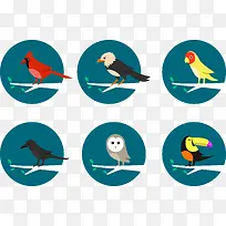 6种鸟类卡通图形矢量图