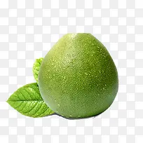 健康绿色水果柚子