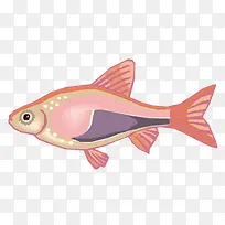 卡通热带鱼粉小鱼