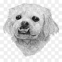 素描狗狗