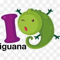 iguana