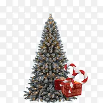 绿色圣诞树和礼物素材