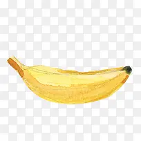 水彩绘黄色香蕉矢量图