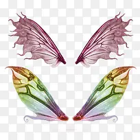 蝴蝶的翅膀PNG素材