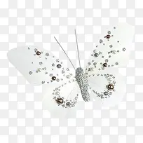 带珍珠的白蝴蝶