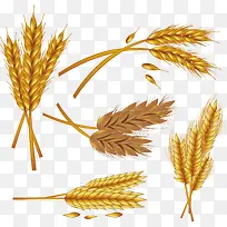 金色丰收季小麦花纹