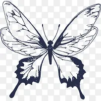蝴蝶 动物昆虫 单色 黑色