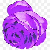 紫色玫瑰婚庆背景