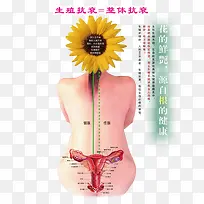 养生图图片