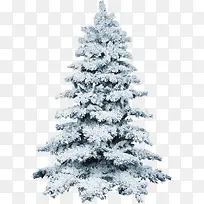 叶圣诞树银色雪圣诞树