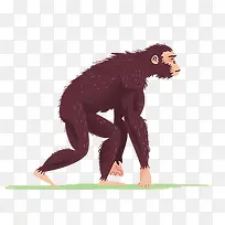 手绘猴子插画