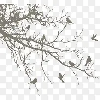 树上的小鸟矢量图片