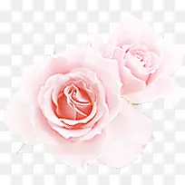 创意合成粉红色的玫瑰花