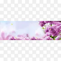 紫色梦幻花朵海报背景