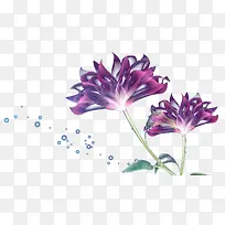 两朵紫色花