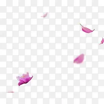 飘扬植物小清新海报紫色花朵