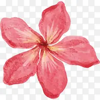 红花花蕊五瓣花型设计图