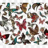 各式蝴蝶装饰背景