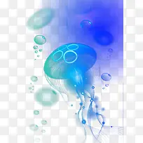 梦幻水母