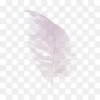 卡通翅膀羽毛飘落素材 柔软的羽