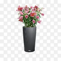 花瓶
