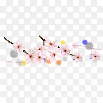樱花枝叶和樱花瓣