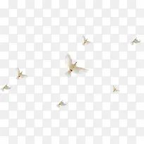 白鸽高飞现代风景壁纸